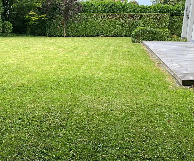 Un jardin fraichement tondu par Sylvain Leroy