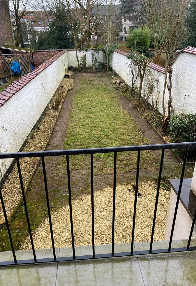 Remise à propre d'une cour de jardin avec tailles des arbustes et broyage des branches