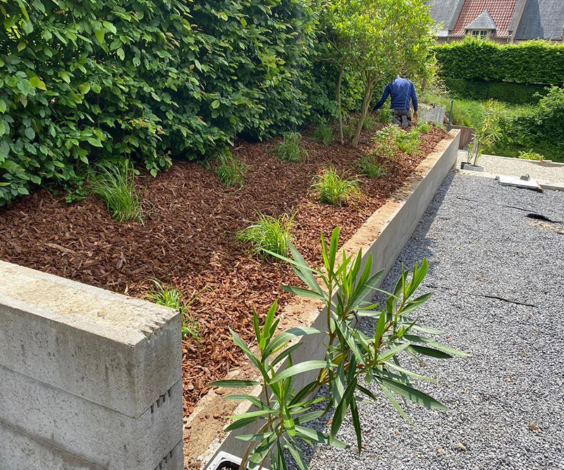 Un parterre après entretien et raffraichissement avec des copeaux