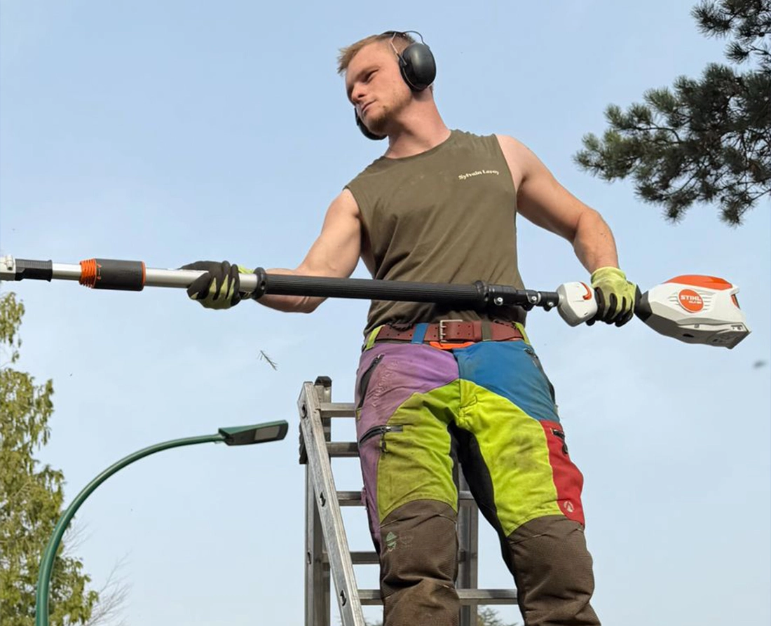 Photo de Sylvain Leroy sur un arbre pendant un élagage